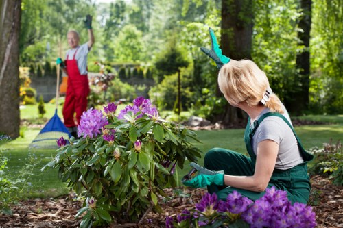 Front garden scene representing Gardeners Mortlake services