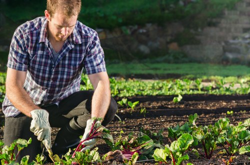Gardener working in a Mortlake front garden