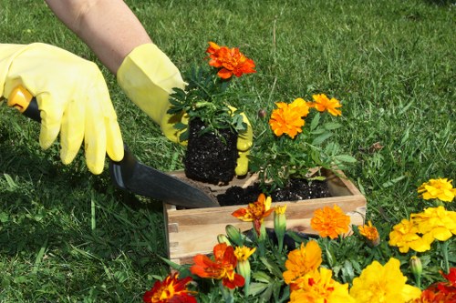 Inspector reviewing garden work for quality